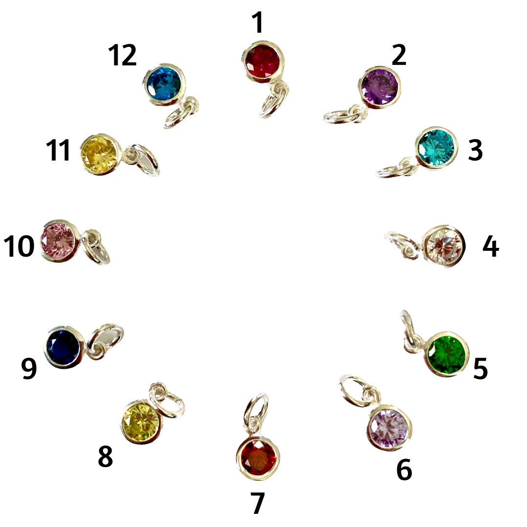 Custom sterling silver birthstone stud earrings personalized crystal charm life moment jewelry gift